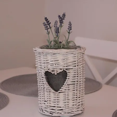 Wanderer 1 Apartment *